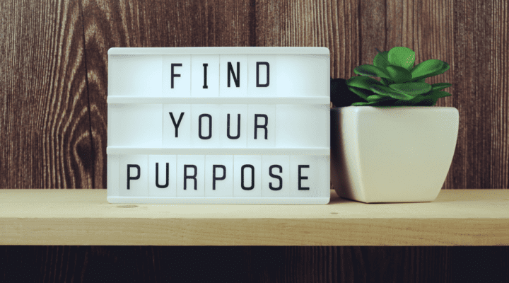 Find your purpose.
