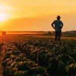 Ivory Plains - Resources for Farmers Struggling With SUD, AUD and MHD