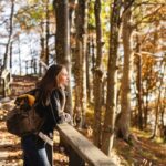 Ivory Plains - How Forest Bathing Provides a Fresh Perspective