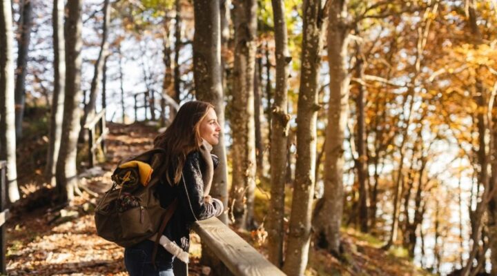 Ivory Plains - How Forest Bathing Provides a Fresh Perspective