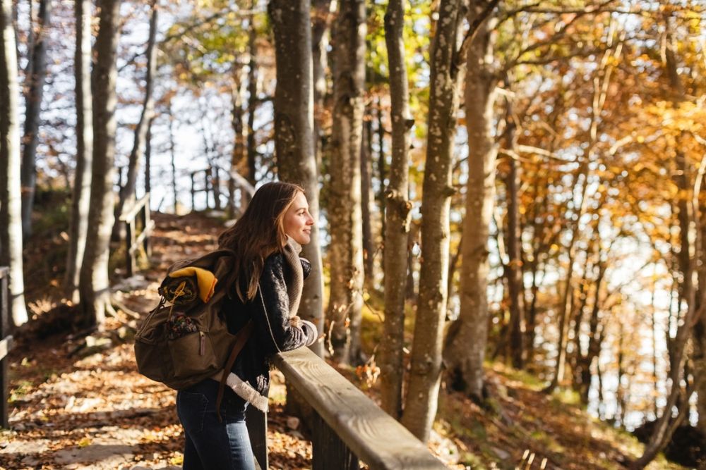 Ivory Plains - How Forest Bathing Provides a Fresh Perspective